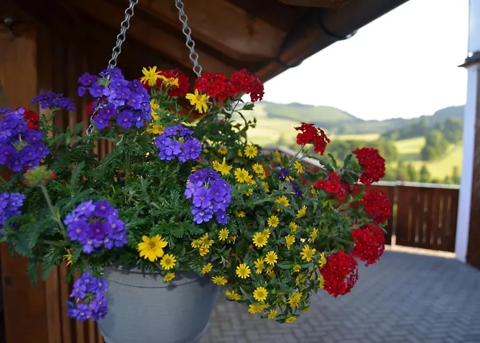 公寓 Serene In Meschede With Balcony