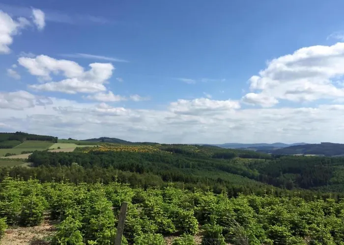 公寓 Serene In Meschede With Balcony Grevenstein