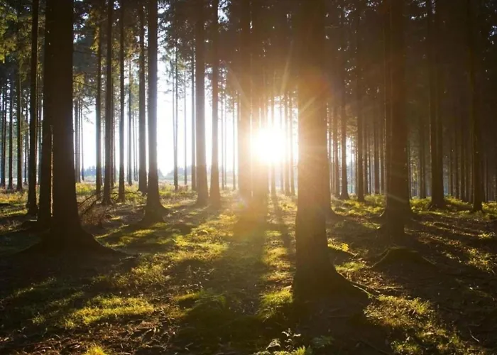 Serene In Meschede With Balcony