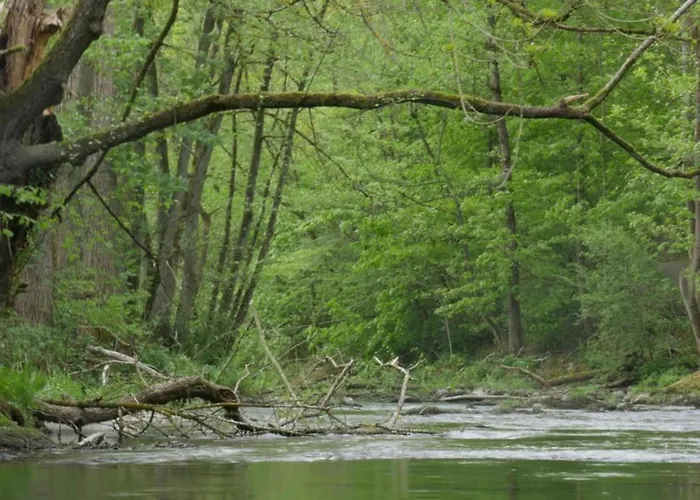 Serene In Meschede With Balcony 公寓